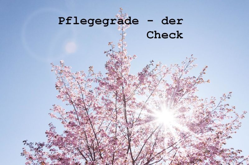 Pflegegrad - Welche Leistungen gibt es?